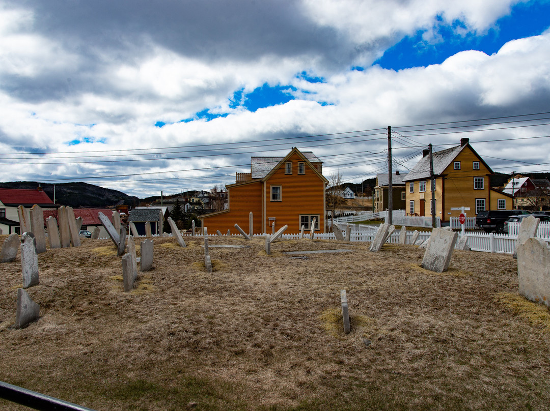 Trinity Eco-Tours and Lodge主图