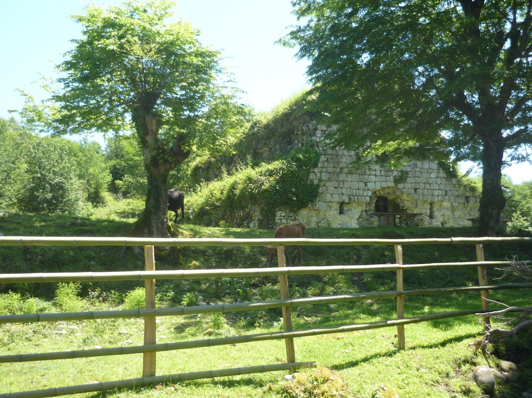 Miussera Temple-Gudaut'a必去景点