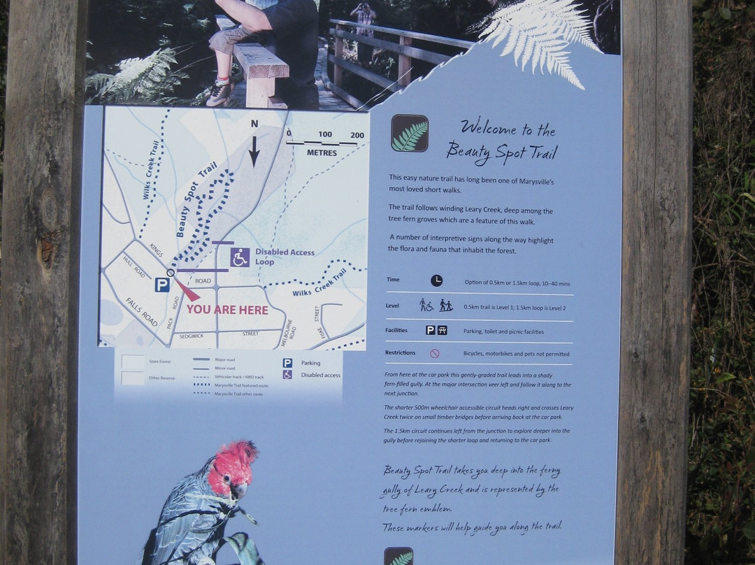 Beauty Spot Trail-Marysville必去景点