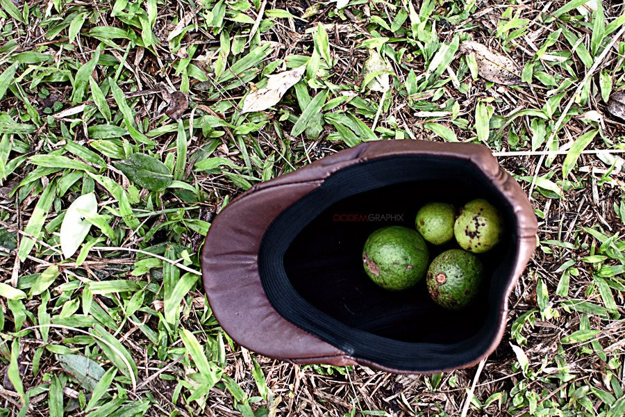 Rizal旅游攻略图片