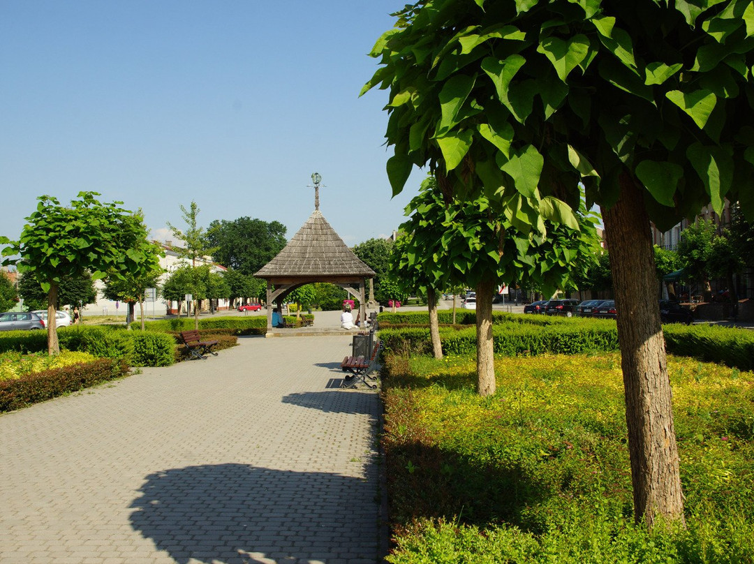 Opatow Market Square (Opatow Rynek)景点图片