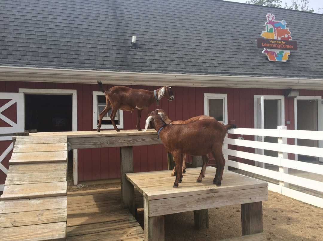 Cosley Zoo-Wheaton必去景点