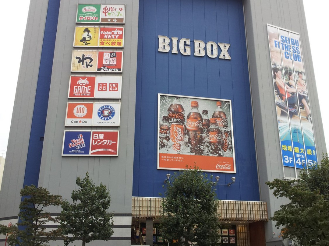 Big Box Takadanobaba-Takadanobaba必去景点
