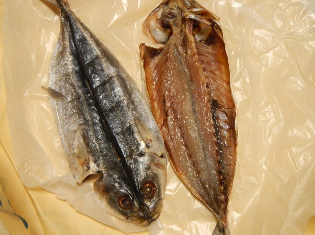 Ogiso Shoten Honten-下田市必去景点