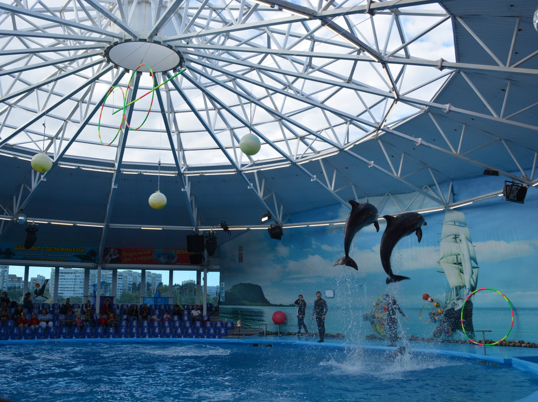 Zazerʼye旅游景点-Minsk Dolphinarium Nemo