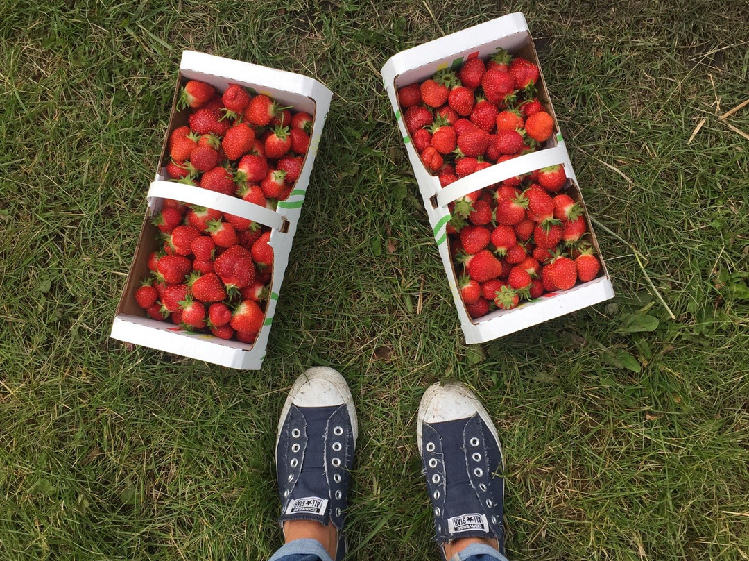 丛林农场-红鹿市必去景点