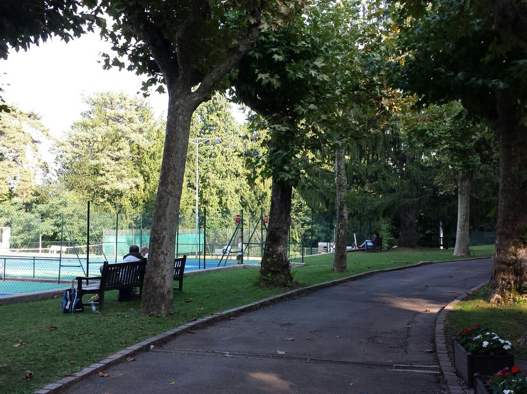 Tennis Club景点图片
