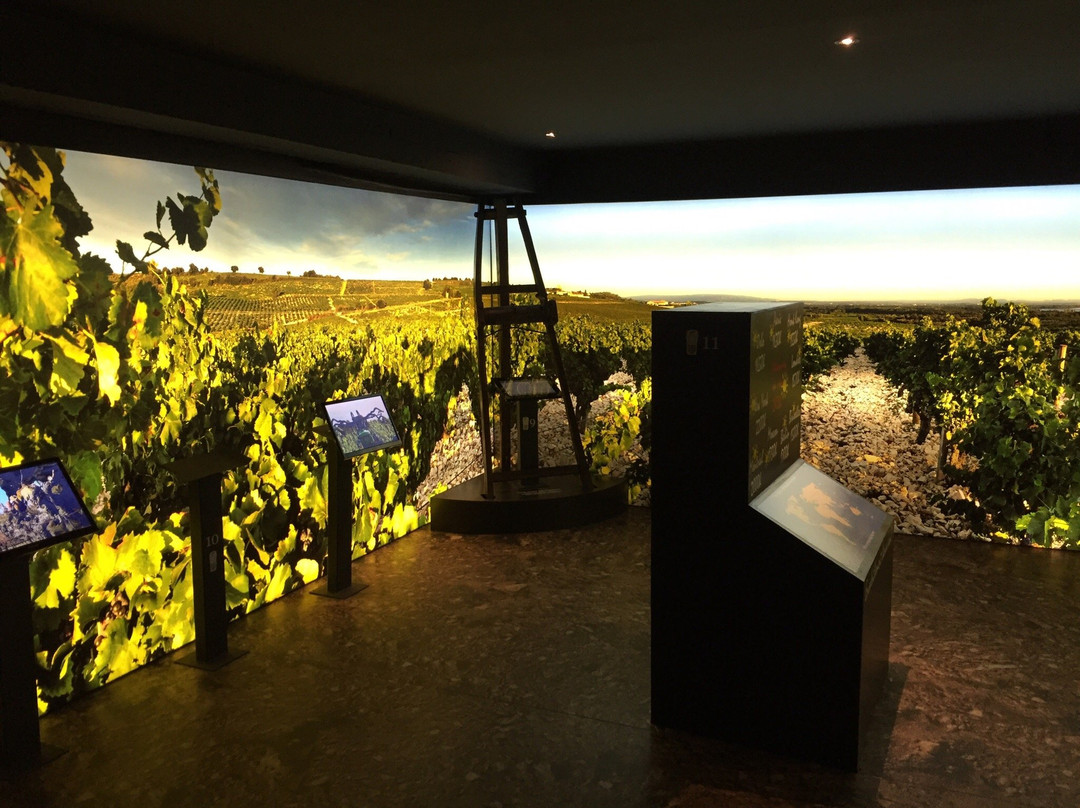 Musee du Vin Brotte Dégustation et Vente景点图片
