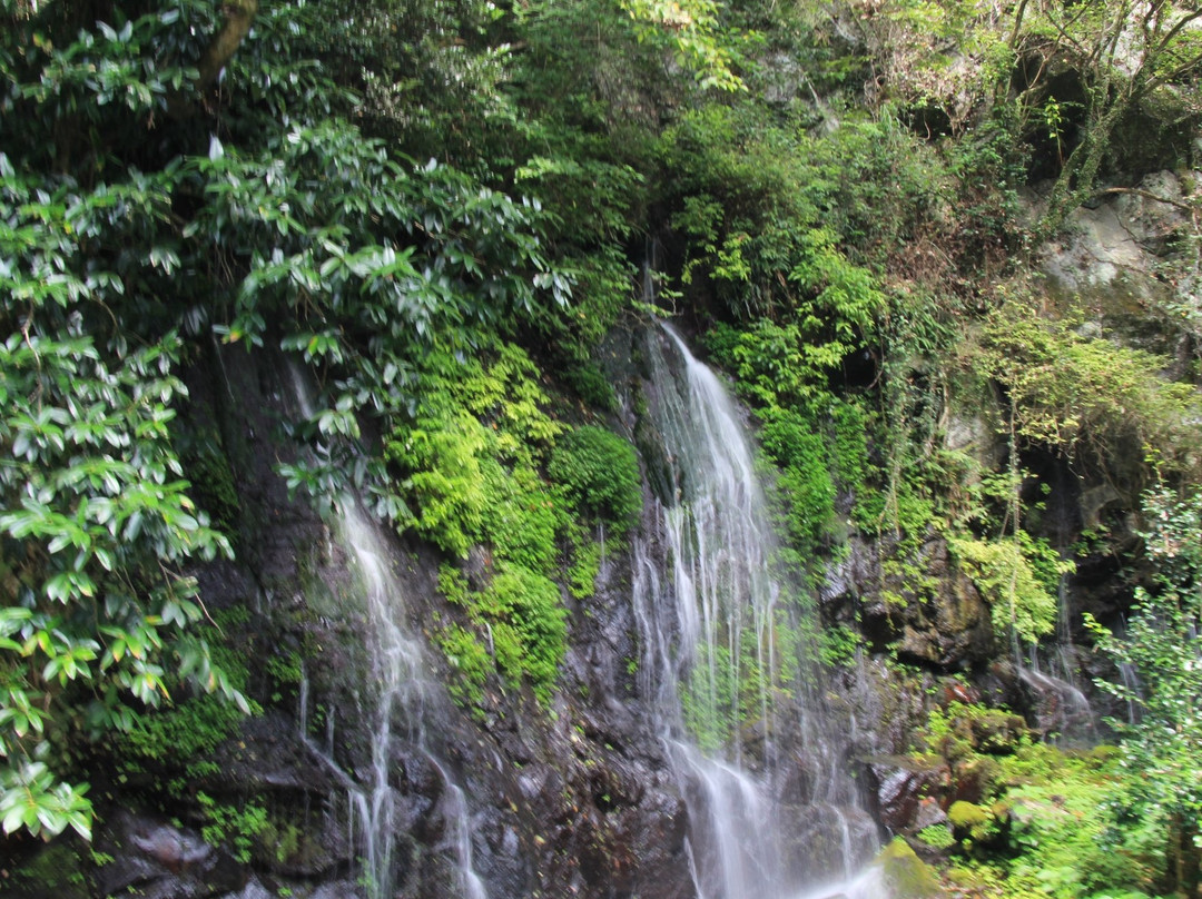 Tamatare Falls景点图片