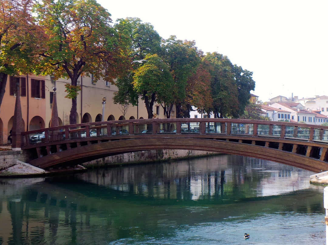 Ponte dell'Università景点图片