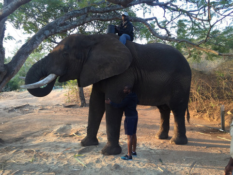 Regent Safaris-雾观必去景点