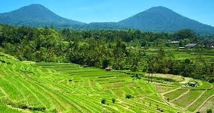 Bali Camping-Penebel必去景点