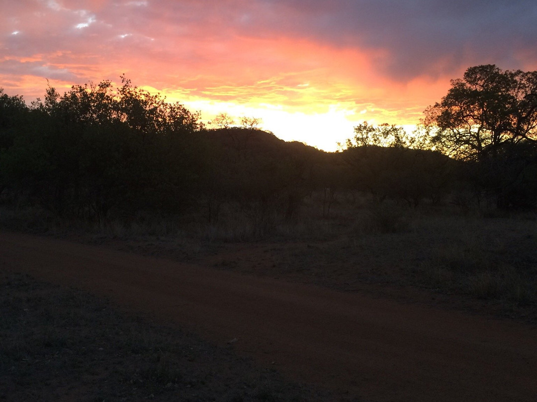 Not For Sissies Tours & Adventures-约翰内斯堡必去景点