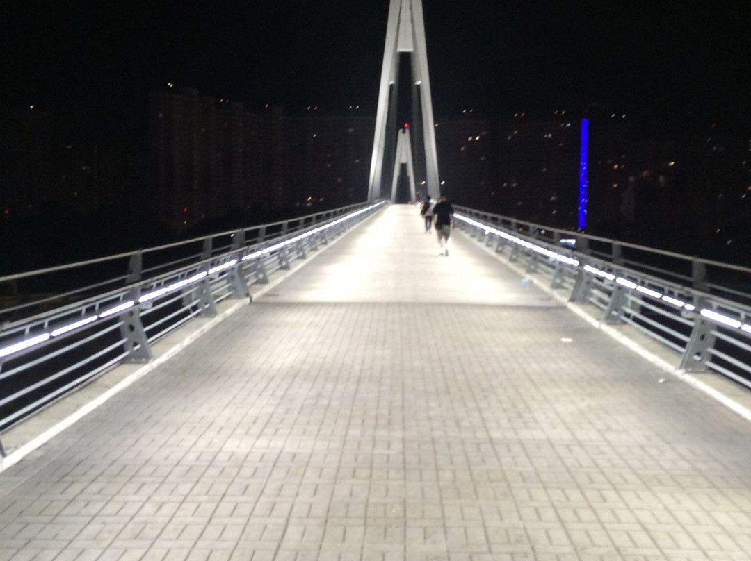 Pedestrian Bridge Pavshinskaya Poima景点图片