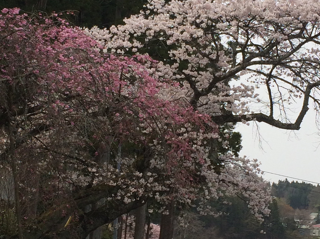 Niidahonke-郡山市必去景点