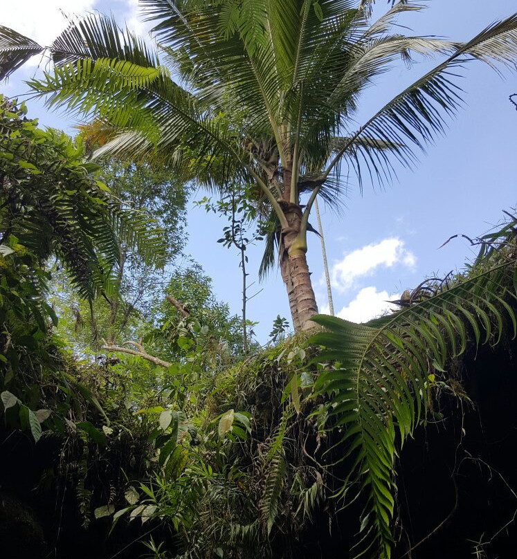 Tetebatu Garden