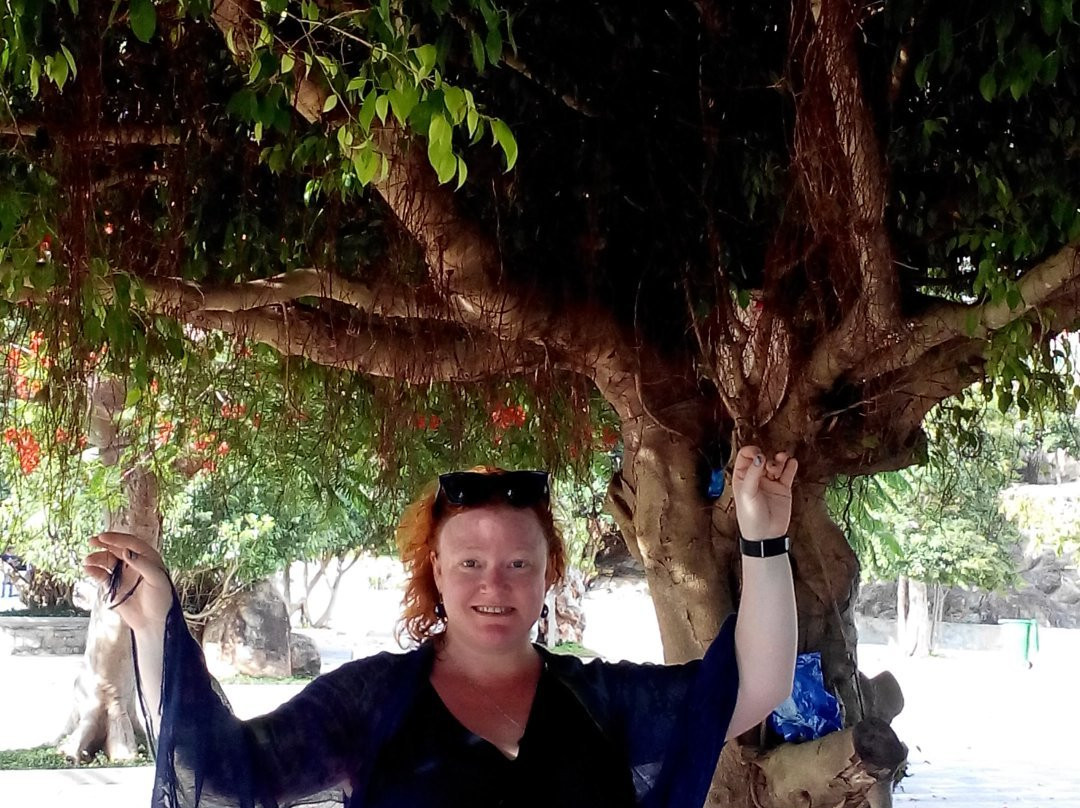 Hoi An Bike Tours + Day Tours-会安必去景点