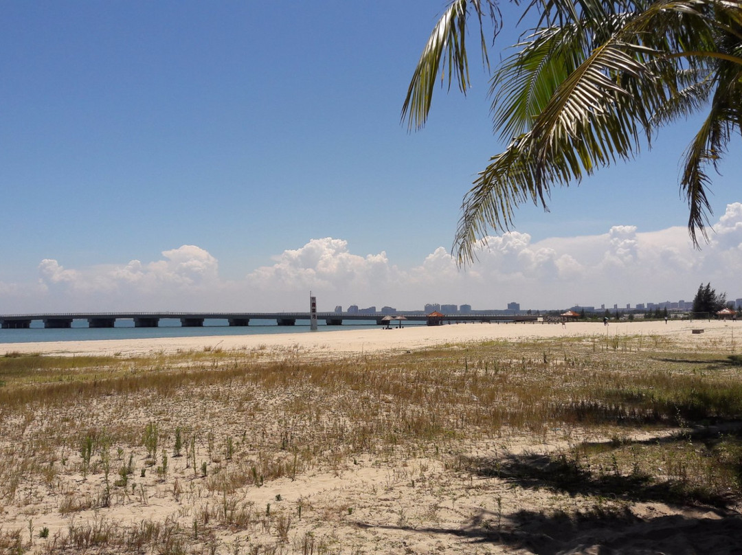 东郊椰子种植园-海口市必去景点