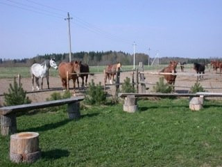 Minijos Zirgynas Ranch