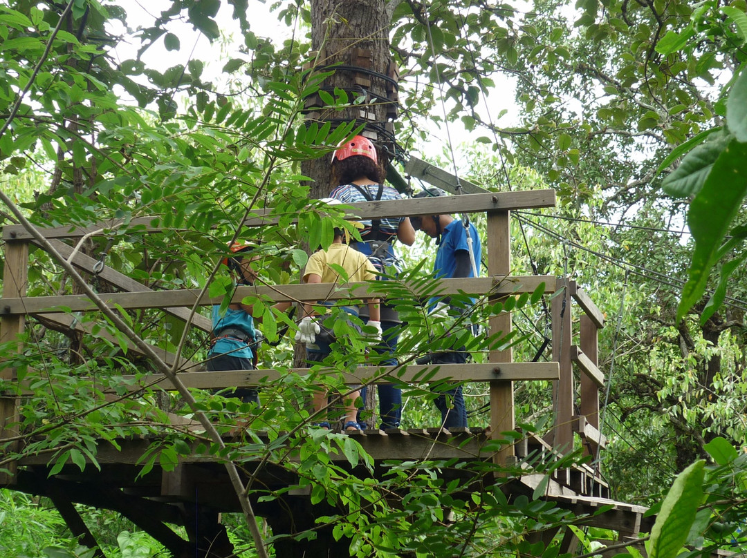 丛林滑翔-夜登必去景点