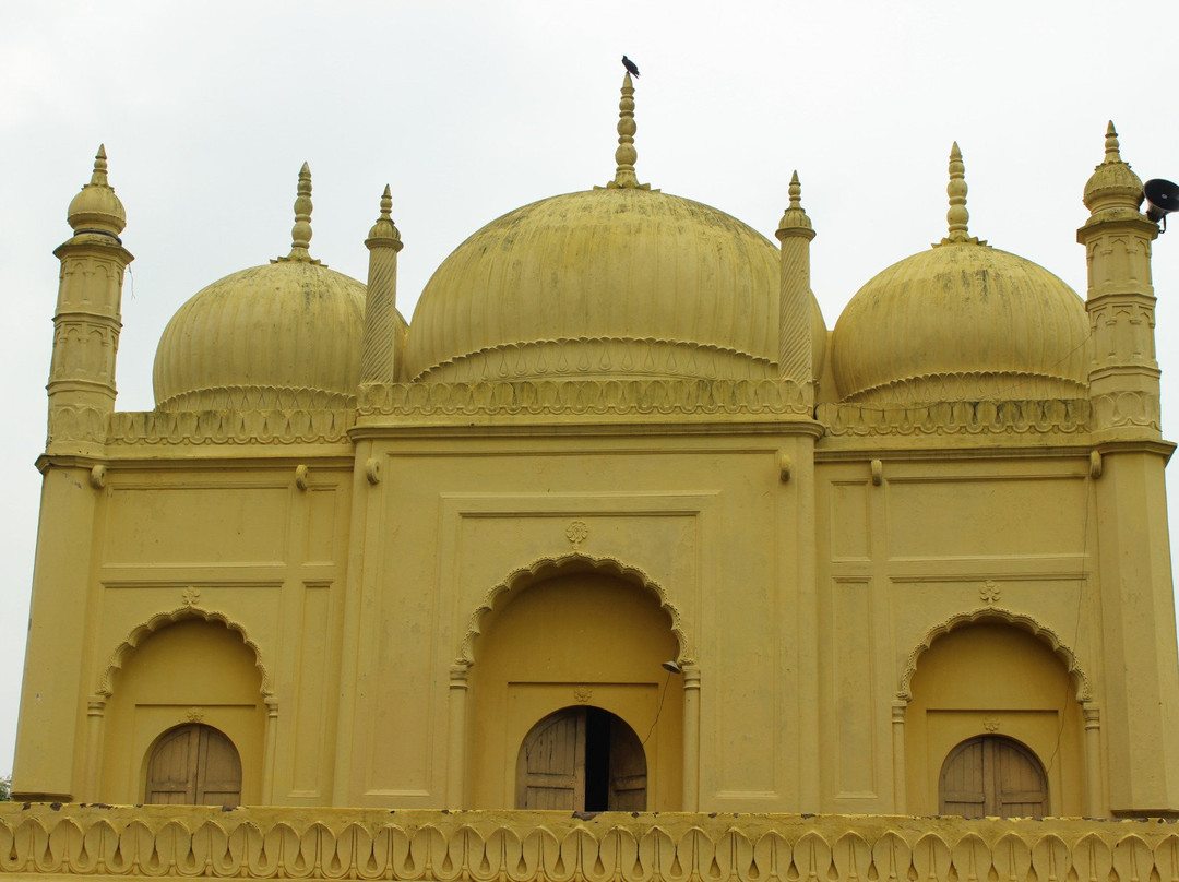 Yellow Mosque景点图片