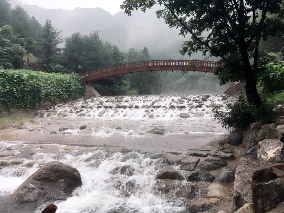 Kalbongsan Recreational Forest-加平郡必去景点