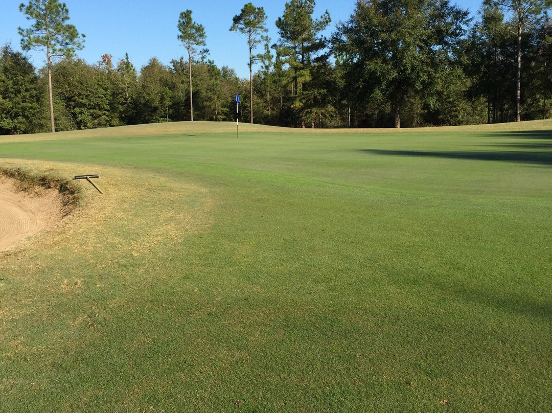 Sunny Hills Golf Club景点图片