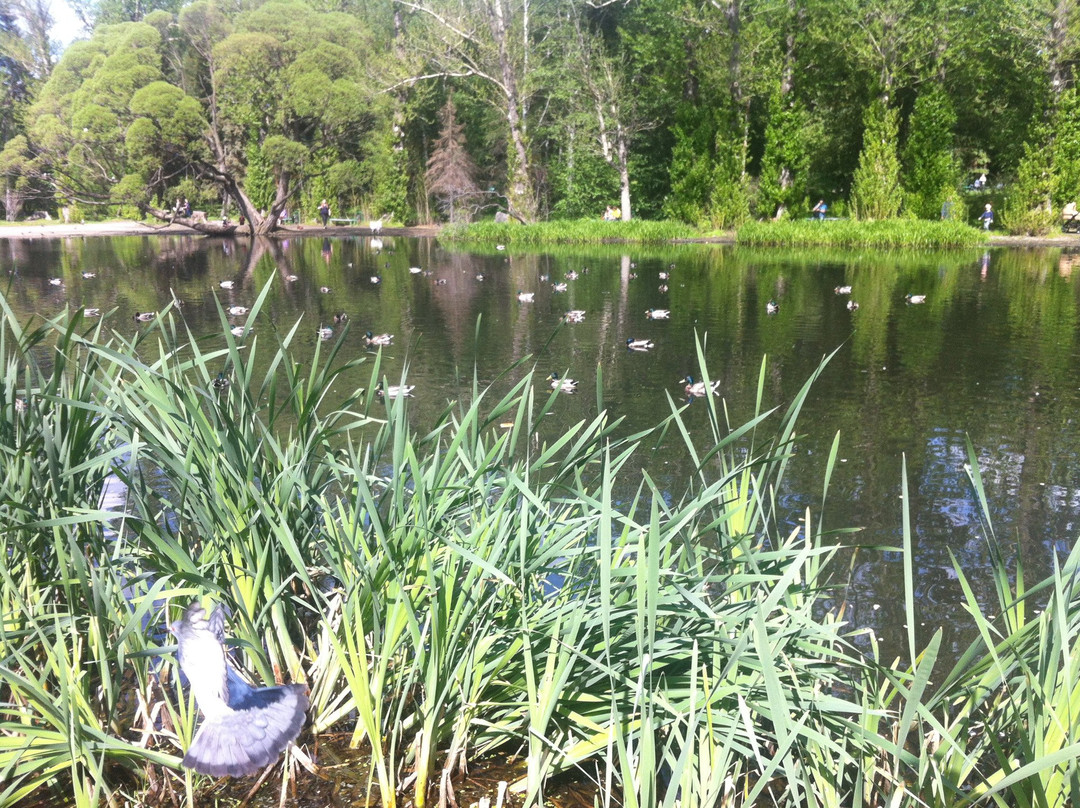 Arboretum Park Exhibition景点图片