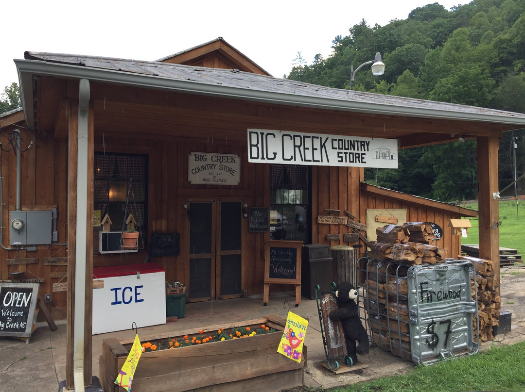 Big Creek Country Store-韦恩斯维尔必去景点