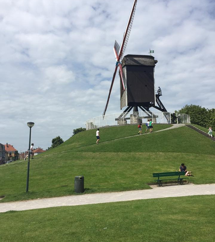 Bruges to Damme Bike Tour景点图片