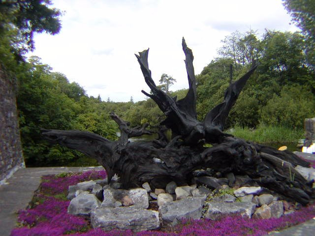 Bog Oak Sculpture-康镇必去景点