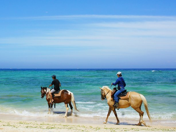 Okinawa Horse Riding Club-读谷村必去景点