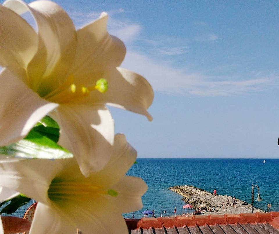 Cariati酒店住宿-Al Giglio Bed & Breakfast