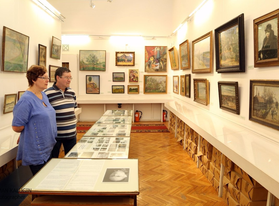 Khimki Art Gallery Named After S. N. Gorshin-希姆基必去景点