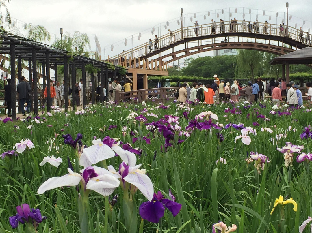 Suigo Itako Ayame Garden-潮来市必去景点