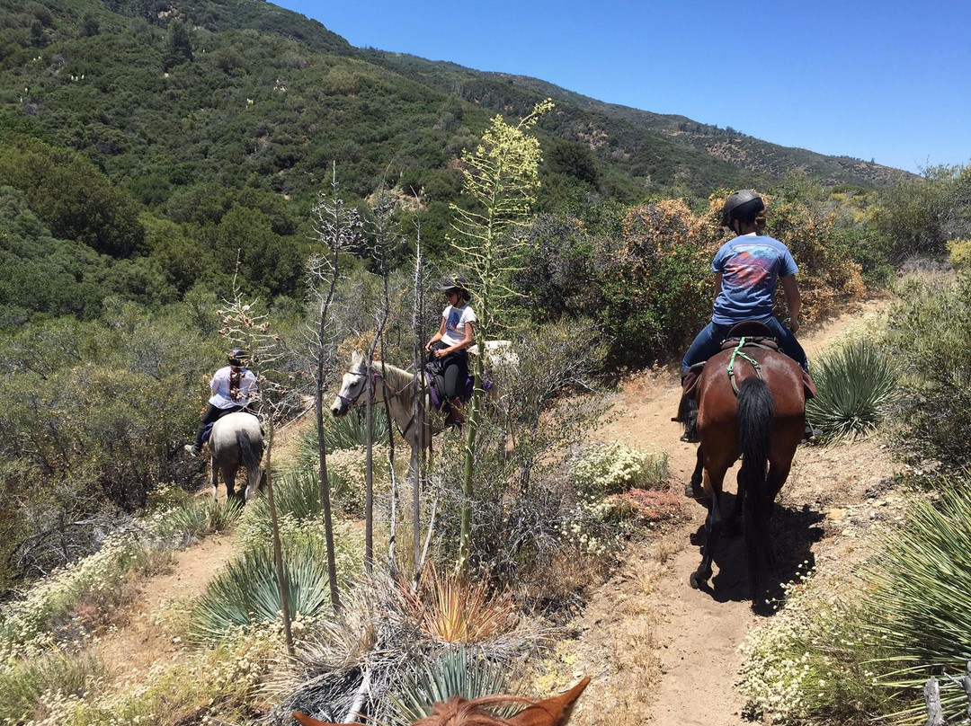Running Horse Ranch-Lake Hughes必去景点