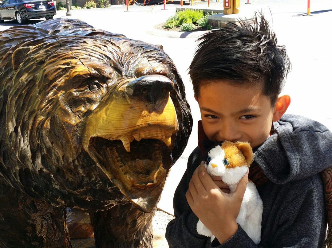 Pine Knot Village-大熊湖必去景点