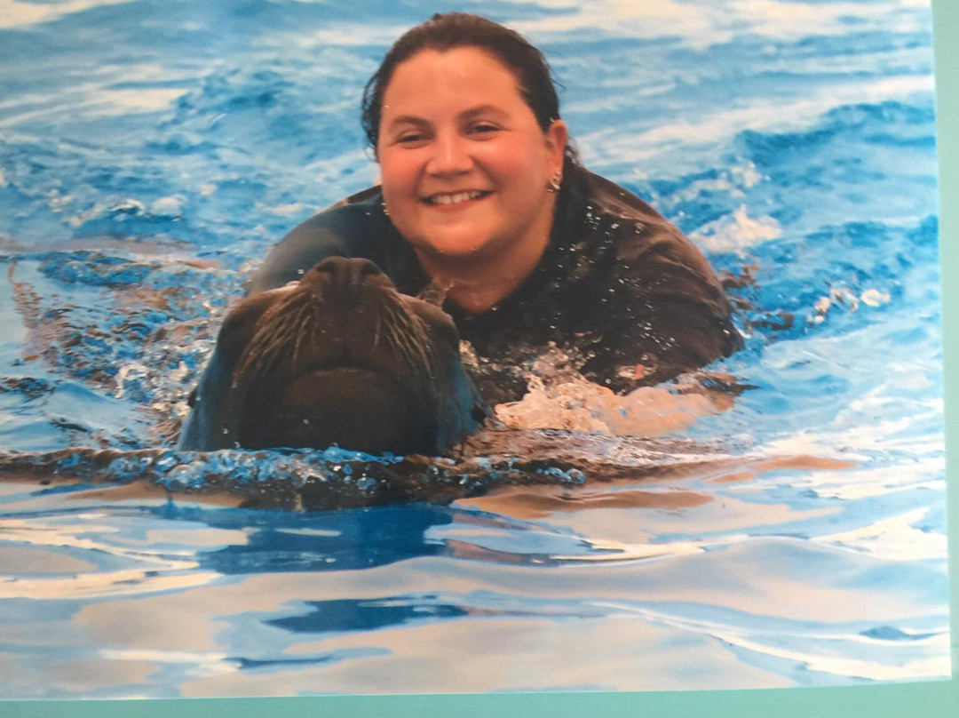 Swim With Sea Lions-夸尔泰拉必去景点