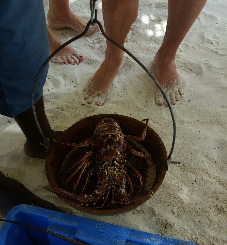 Saona Dreams-Bayahibe必去景点