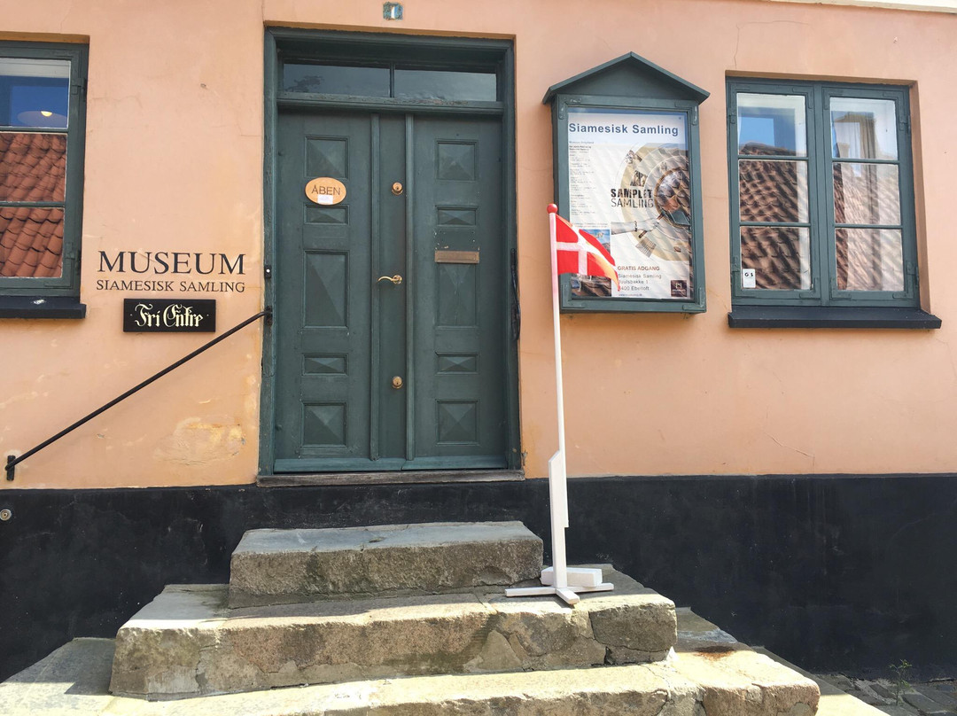 Museum Ostjylland Ebeltoft景点图片