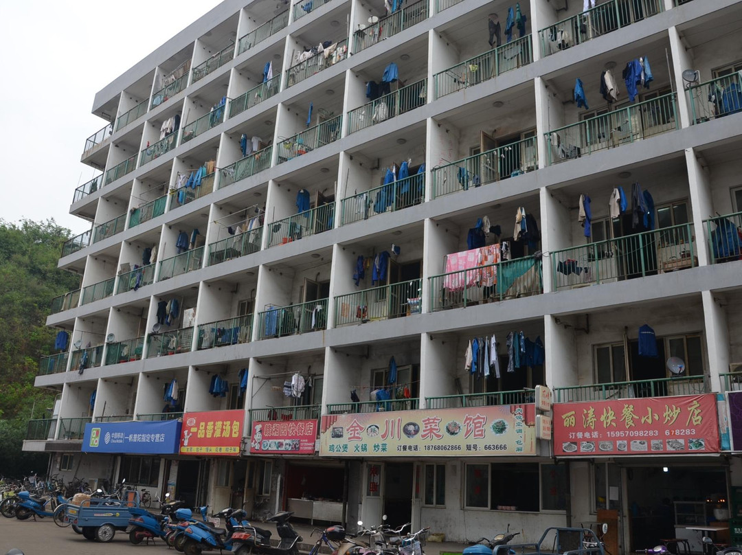 舟山普陀蚂蚁岛-舟山市必去景点