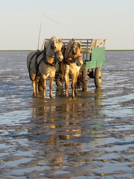 Mandoe Event-Mandoe必去景点