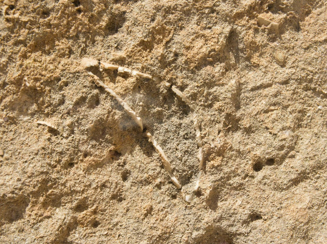 Ruta de la pedrera-Jumilla必去景点