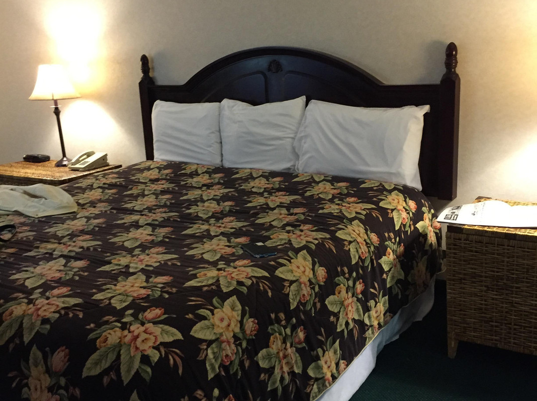 Osage Village Inn主图