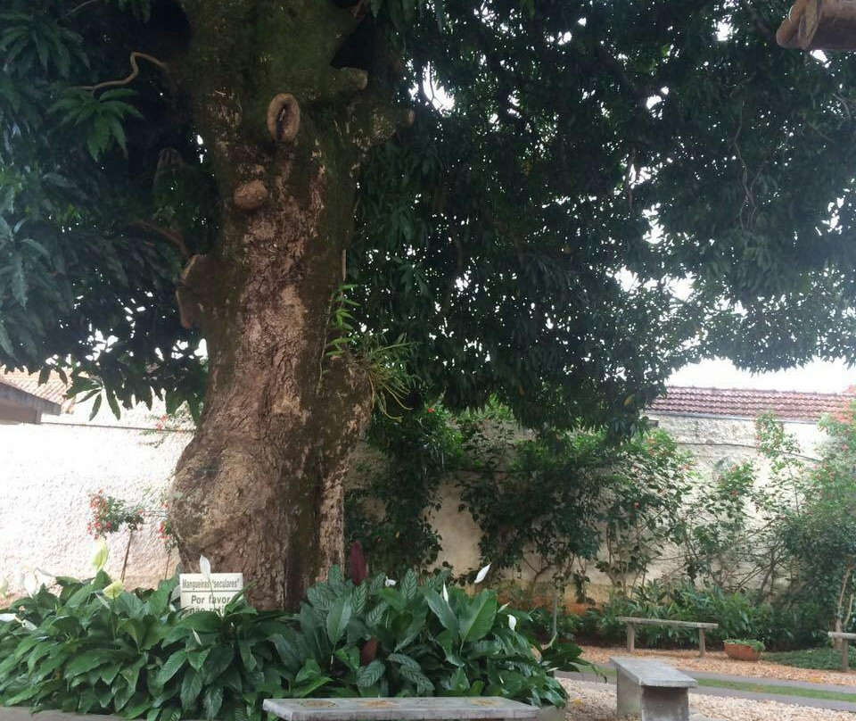 Colégio Allan Kardec-Sacramento必去景点