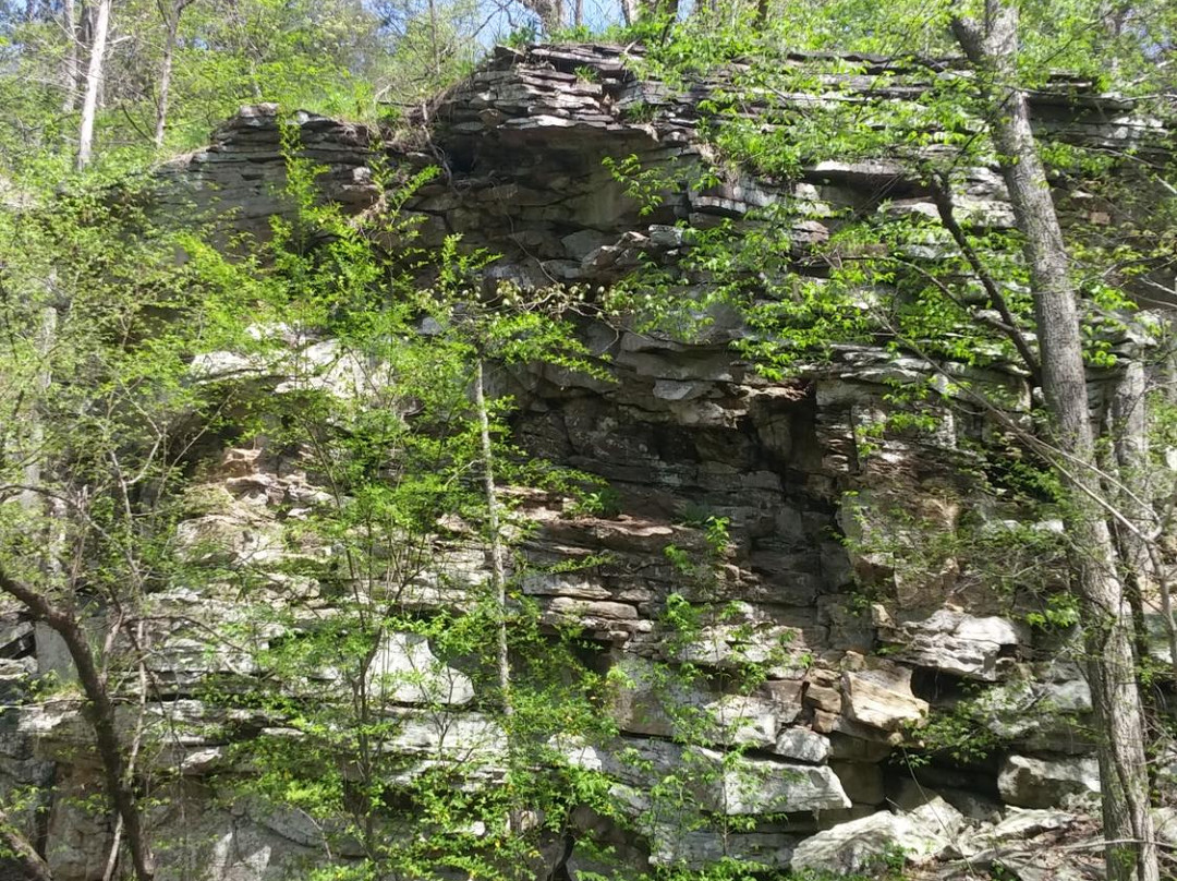 Lee Creek Hiking Trails景点图片