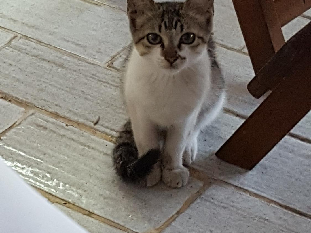 Vargas Peruibe Hotel主图