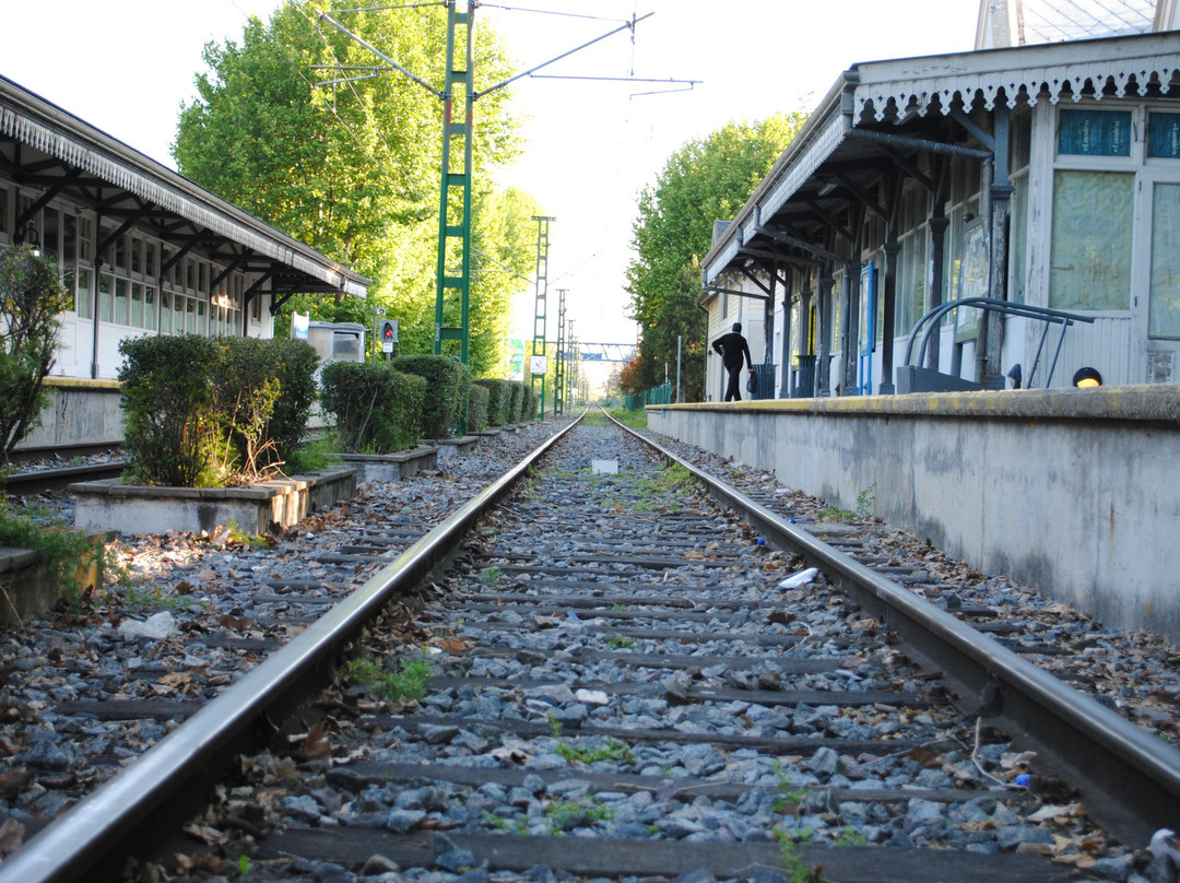 Guided Tour San Isidro-Acassuso必去景点