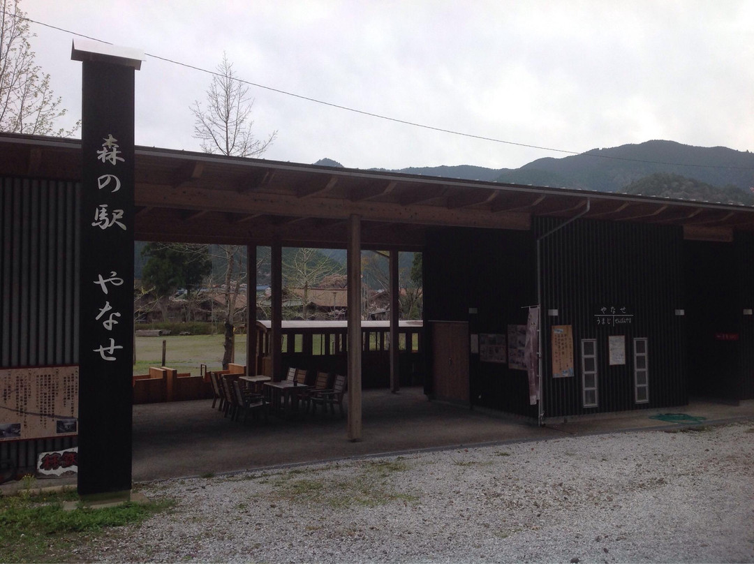 Lake Yanase-马路村必去景点