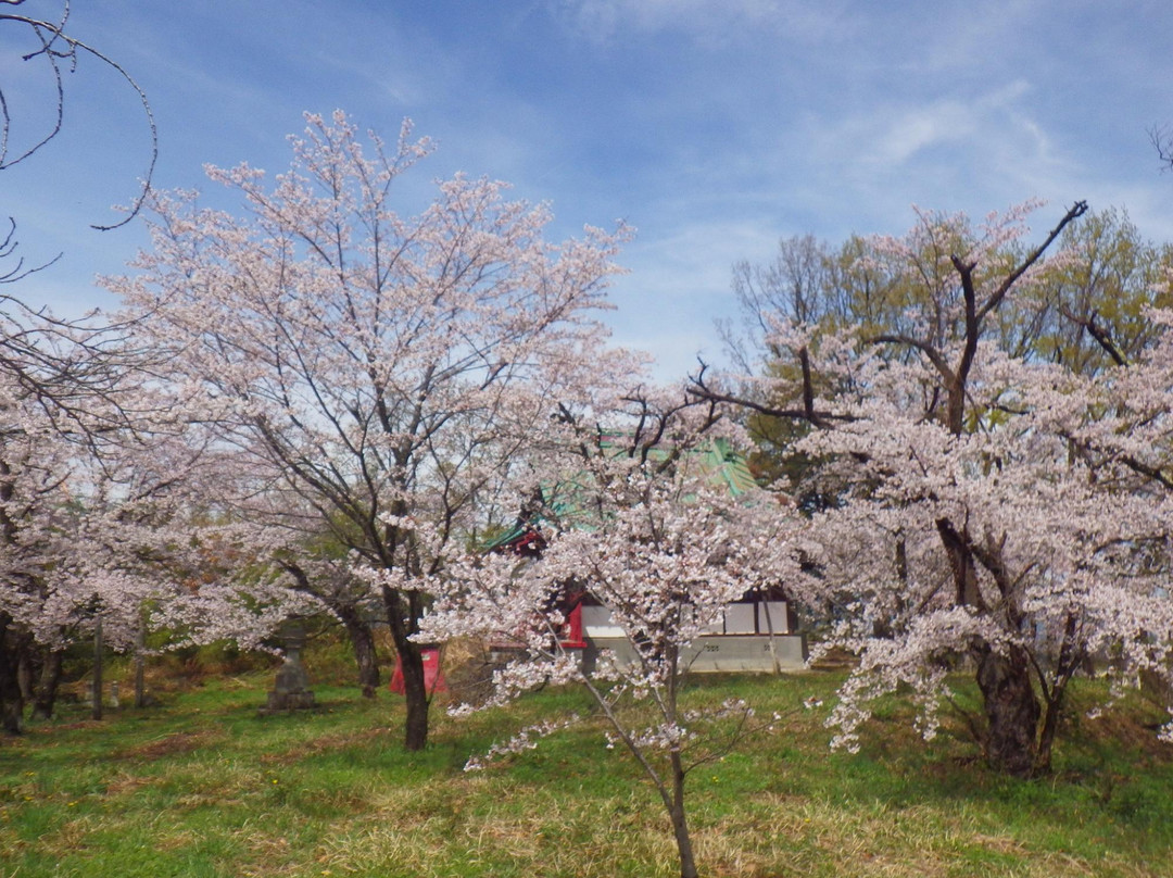Shonoki Shrine景点图片